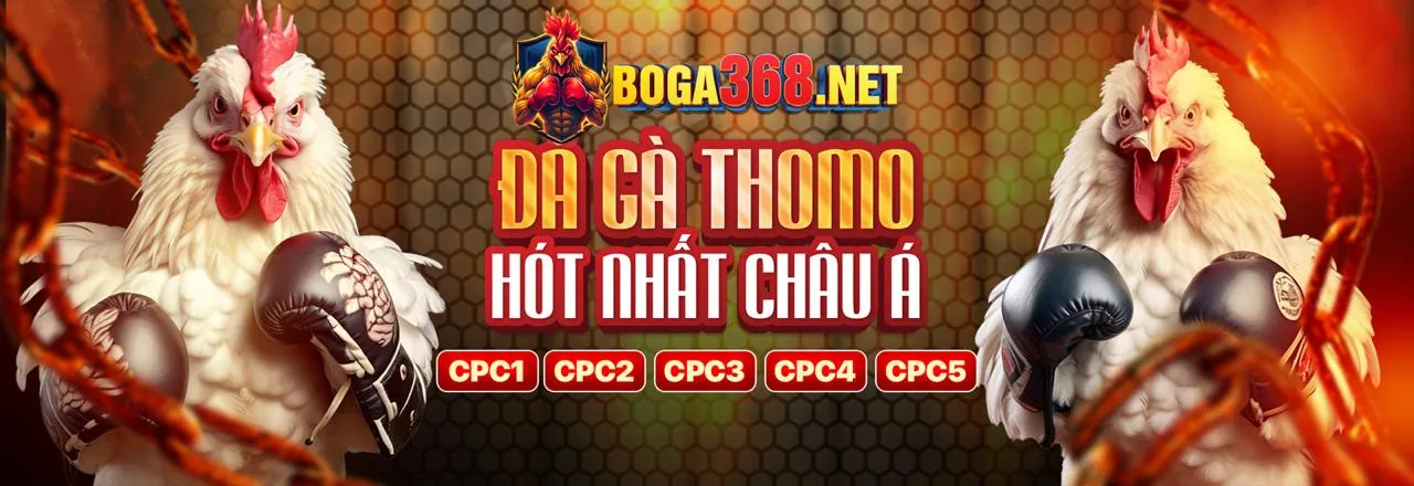 J33 Link Mới - Cá cược có trách nhiệm và phát triển bền vững